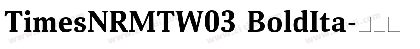TimesNRMTW03 BoldIta字体转换